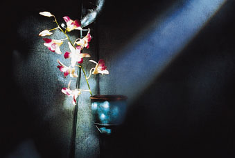 ������ �ִ� ���� ��/��/��/�� �� �ֽ��ϴ�.