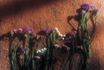 ������ �ִ� ���� ��/��/��/�� �� �ֽ��ϴ�.