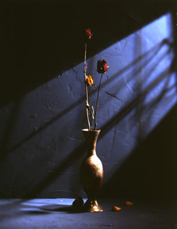 ������ �ִ� ���� ��/��/��/�� �� �ֽ��ϴ�.