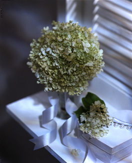 ������ �ִ� ���� ��/��/��/�� �� �ֽ��ϴ�.