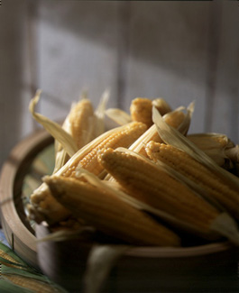 ������ �ִ� ���� ��/��/��/�� �� �ֽ��ϴ�.