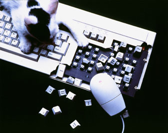 ������ �ִ� ���� ��/��/��/�� �� �ֽ��ϴ�.