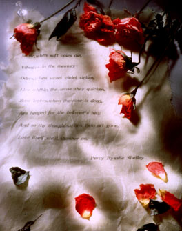 ������ �ִ� ���� ��/��/��/�� �� �ֽ��ϴ�.