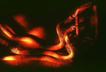 ������ �ִ� ���� ��/��/��/�� �� �ֽ��ϴ�.