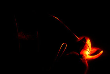 ������ �ִ� ���� ��/��/��/�� �� �ֽ��ϴ�.