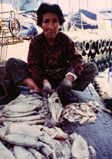 ������ �ִ� ���� ��/��/��/�� �� �ֽ��ϴ�.