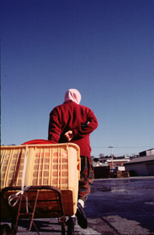 ������ �ִ� ���� ��/��/��/�� �� �ֽ��ϴ�.