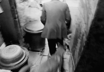 ������ �ִ� ���� ��/��/��/�� �� �ֽ��ϴ�.