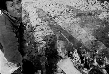 ������ �ִ� ���� ��/��/��/�� �� �ֽ��ϴ�.