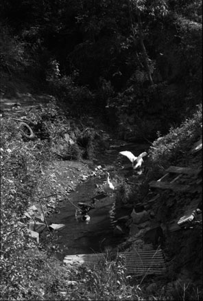 ������ �ִ� ���� ��/��/��/�� �� �ֽ��ϴ�.