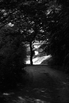 ������ �ִ� ���� ��/��/��/�� �� �ֽ��ϴ�.