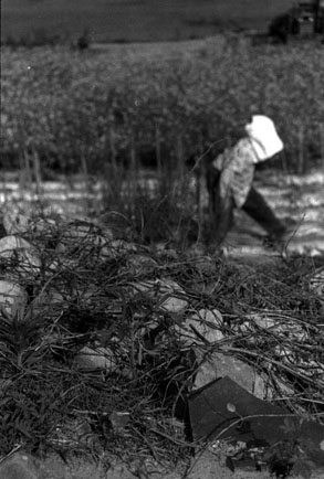 ������ �ִ� ���� ��/��/��/�� �� �ֽ��ϴ�.