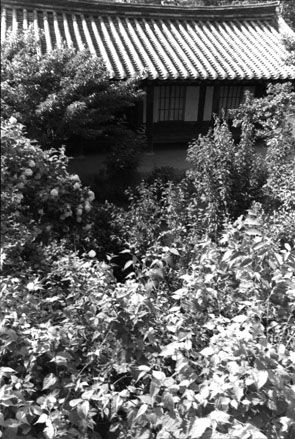 ������ �ִ� ���� ��/��/��/�� �� �ֽ��ϴ�.