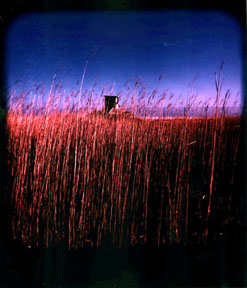 ������ �ִ� ���� ��/��/��/�� �� �ֽ��ϴ�.