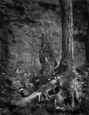 ������ �ִ� ���� ��/��/��/�� �� �ֽ��ϴ�.