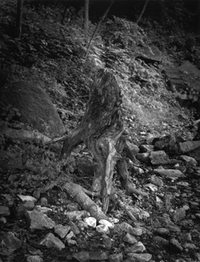 ������ �ִ� ���� ��/��/��/�� �� �ֽ��ϴ�.