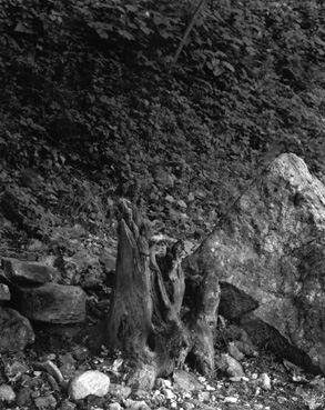 ������ �ִ� ���� ��/��/��/�� �� �ֽ��ϴ�.