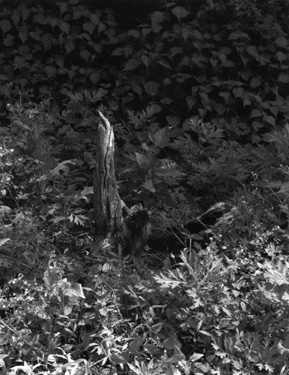 ������ �ִ� ���� ��/��/��/�� �� �ֽ��ϴ�.