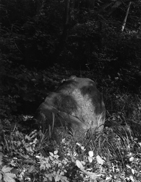 ������ �ִ� ���� ��/��/��/�� �� �ֽ��ϴ�.