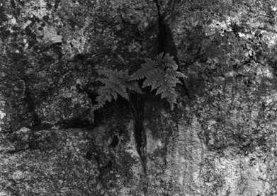 ������ �ִ� ���� ��/��/��/�� �� �ֽ��ϴ�.