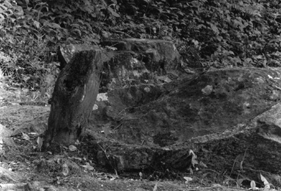 ������ �ִ� ���� ��/��/��/�� �� �ֽ��ϴ�.