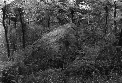 ������ �ִ� ���� ��/��/��/�� �� �ֽ��ϴ�.