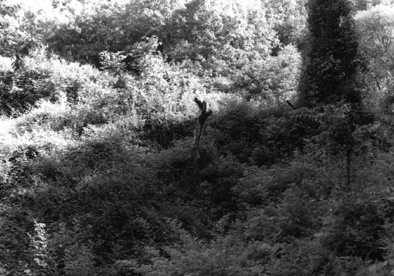 ������ �ִ� ���� ��/��/��/�� �� �ֽ��ϴ�.