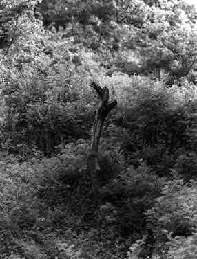 ������ �ִ� ���� ��/��/��/�� �� �ֽ��ϴ�.