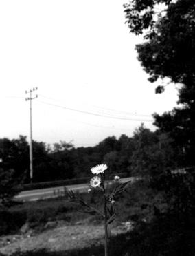 ������ �ִ� ���� ��/��/��/�� �� �ֽ��ϴ�.