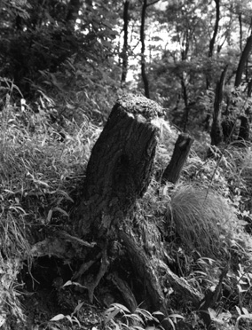 ������ �ִ� ���� ��/��/��/�� �� �ֽ��ϴ�.