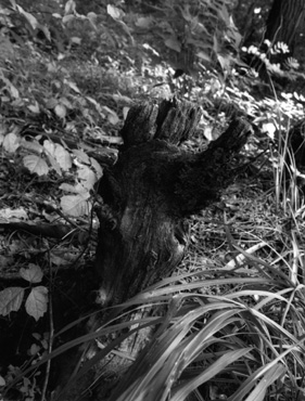 ������ �ִ� ���� ��/��/��/�� �� �ֽ��ϴ�.