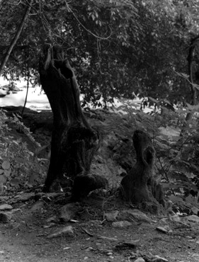 ������ �ִ� ���� ��/��/��/�� �� �ֽ��ϴ�.