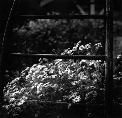 ������ �ִ� ���� ��/��/��/�� �� �ֽ��ϴ�.