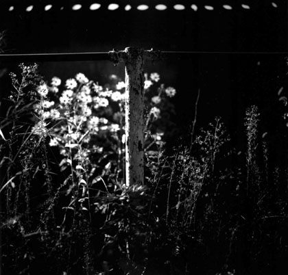 ������ �ִ� ���� ��/��/��/�� �� �ֽ��ϴ�.