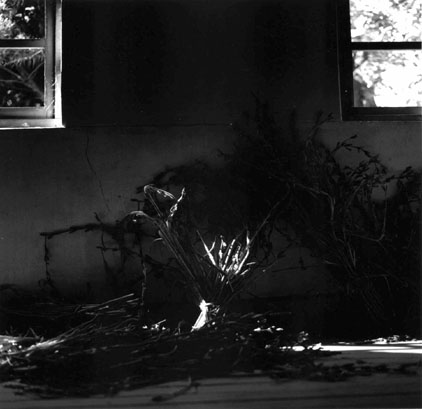 ������ �ִ� ���� ��/��/��/�� �� �ֽ��ϴ�.