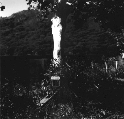 ������ �ִ� ���� ��/��/��/�� �� �ֽ��ϴ�.