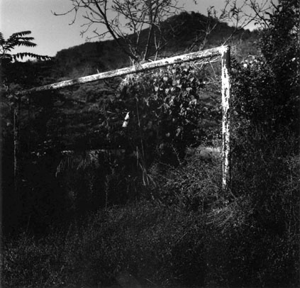 ������ �ִ� ���� ��/��/��/�� �� �ֽ��ϴ�.