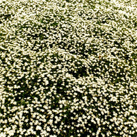 ������ �ִ� ���� ��/��/��/�� �� �ֽ��ϴ�.