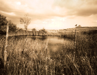 ������ �ִ� ���� ��/��/��/�� �� �ֽ��ϴ�.