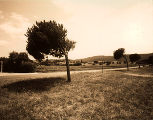 ������ �ִ� ���� ��/��/��/�� �� �ֽ��ϴ�.