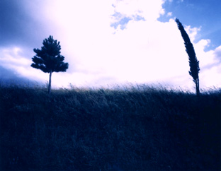 ������ �ִ� ���� ��/��/��/�� �� �ֽ��ϴ�.