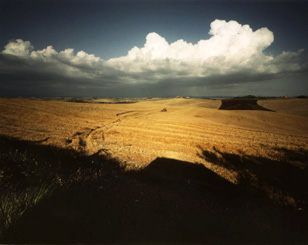 ������ �ִ� ���� ��/��/��/�� �� �ֽ��ϴ�.