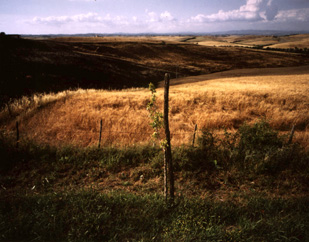 ������ �ִ� ���� ��/��/��/�� �� �ֽ��ϴ�.