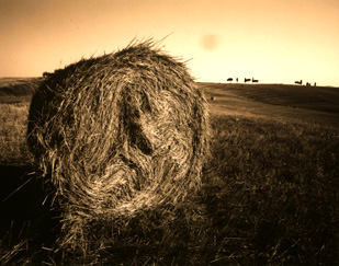 ������ �ִ� ���� ��/��/��/�� �� �ֽ��ϴ�.