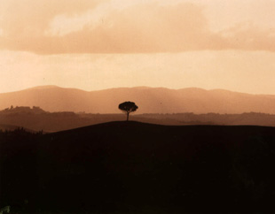 ������ �ִ� ���� ��/��/��/�� �� �ֽ��ϴ�.